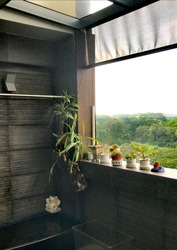 Blk 409 Jurong West Street 42 (Jurong West), HDB Executive #219010021